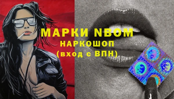 шишки Кулебаки