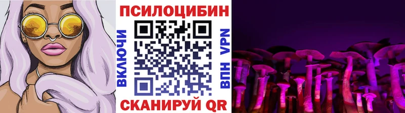 наркошоп  Хадыженск  Галлюциногенные грибы Magic Shrooms 